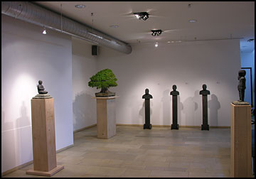 Installation Shot