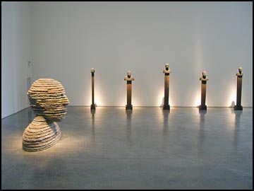 Installation Shot